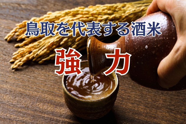 酒米の暴れ馬「強力」とは：雄町のルーツって本当？鳥取を代表する酒米の特徴と歴史