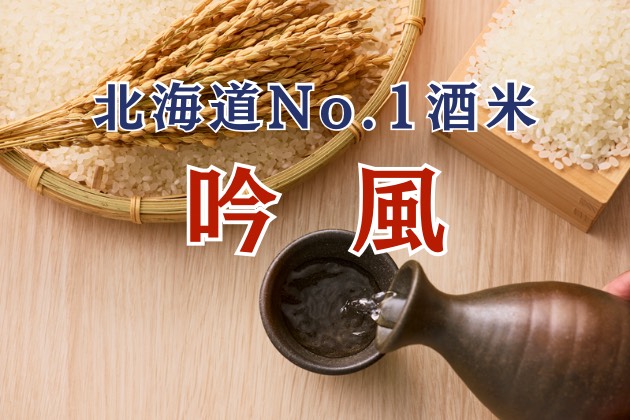 北海道ナンバーワン酒米「吟風」とは？ – 道外でも使われる高コスパな酒米の特徴、歴史、生産地を解説！