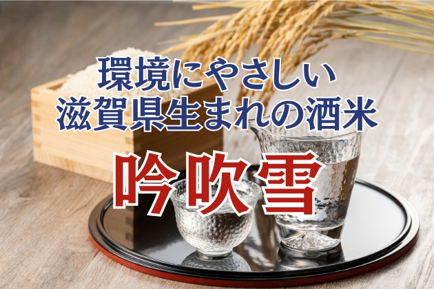 「吟吹雪」とは？ – 環境にやさしい滋賀県生まれの酒米の特徴・歴史を徹底解説！
